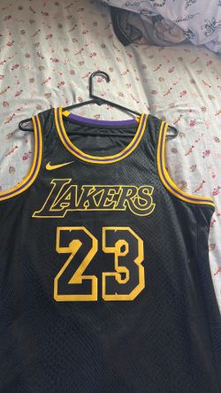 AUTHENTIC LeBron James jersey