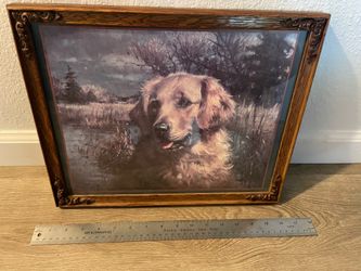 Framed art of dog.