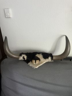 Bull Horn Decor