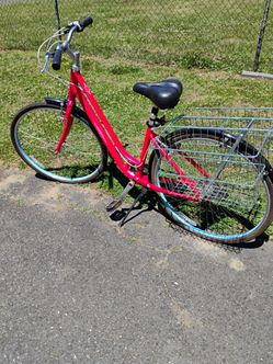 Flourish Designer bike & Side Baskets