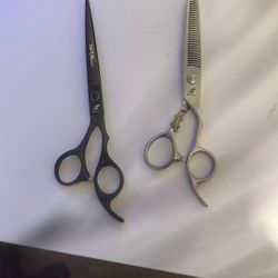 Barber/salon Shears 