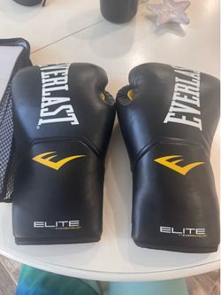Everlast Boxing Gloves