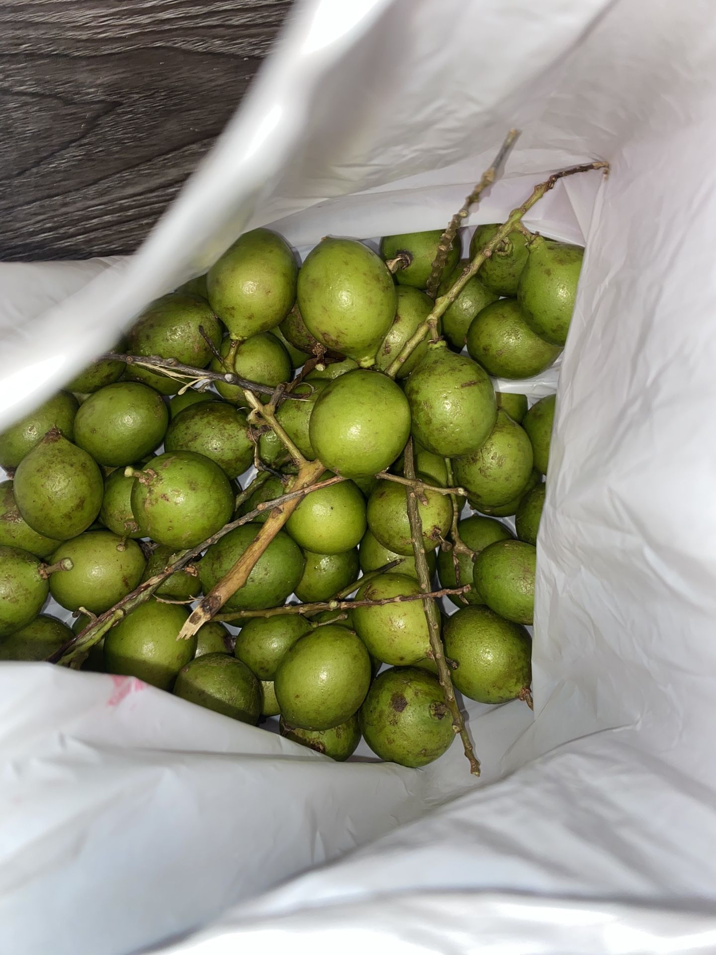 Quenepas Guinep Mamones Mamoncillo