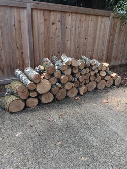 Fresh Birch fire wood