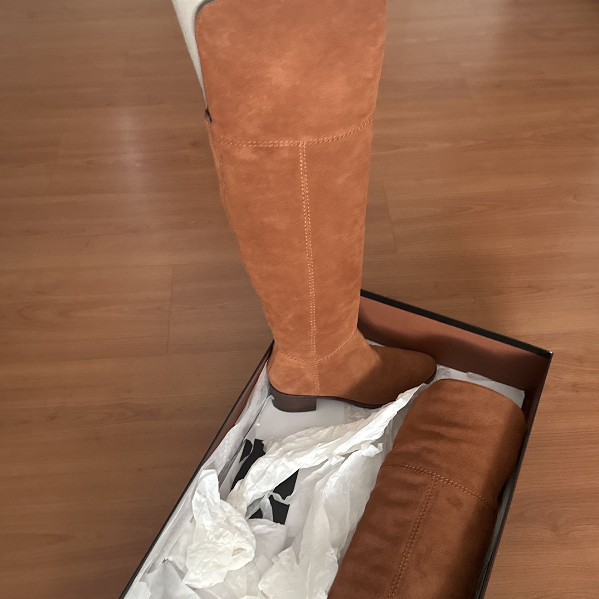 Coach Lucia Split Suede Tall Boot In Color Saddle