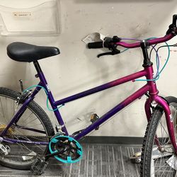 Ladies Bike