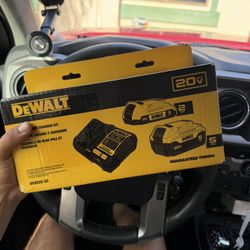 Battery And Charger Kit DEWALT New 
