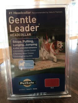 PetSafe Gentle Leader Head Collar with Training