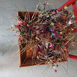 Party Decoration