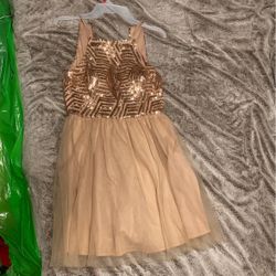 Blush Pink / Gold Detailed Dress