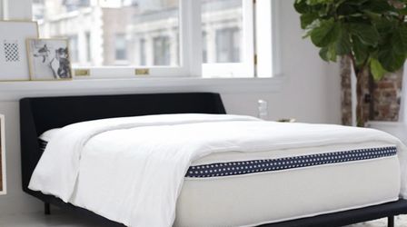 Free Brand New King Mattress (pick up only)