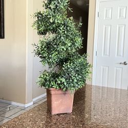 Spiral Topiary Tree 27”