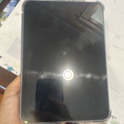 Ipad Mini