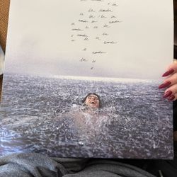 Shawn mendes - wonder vinyl 