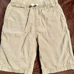 Khaki Shorts 