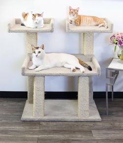 Wide cat tree for big fur babies