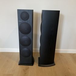 Pioneer Floor Standing Speaker