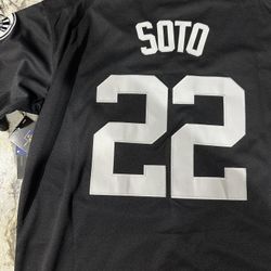 Yankees Soto 
