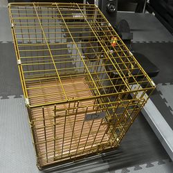 Gold Dog Crate