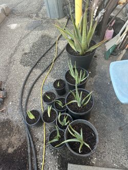 Stove And Good, Make Offer