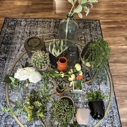 Home Decor Plants And Vases