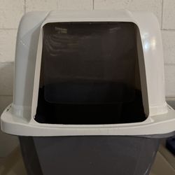 Cats Litter Boxes And Bed