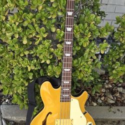 Jack Casady Bass Korea