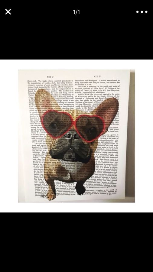 French Bulldog Frame 5 Pet Supplies In Allentown Pa Offerup