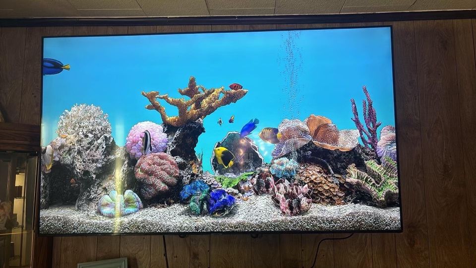 65 Inch Roku Tv
