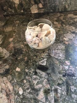 Glass Globe Of Sea Shells