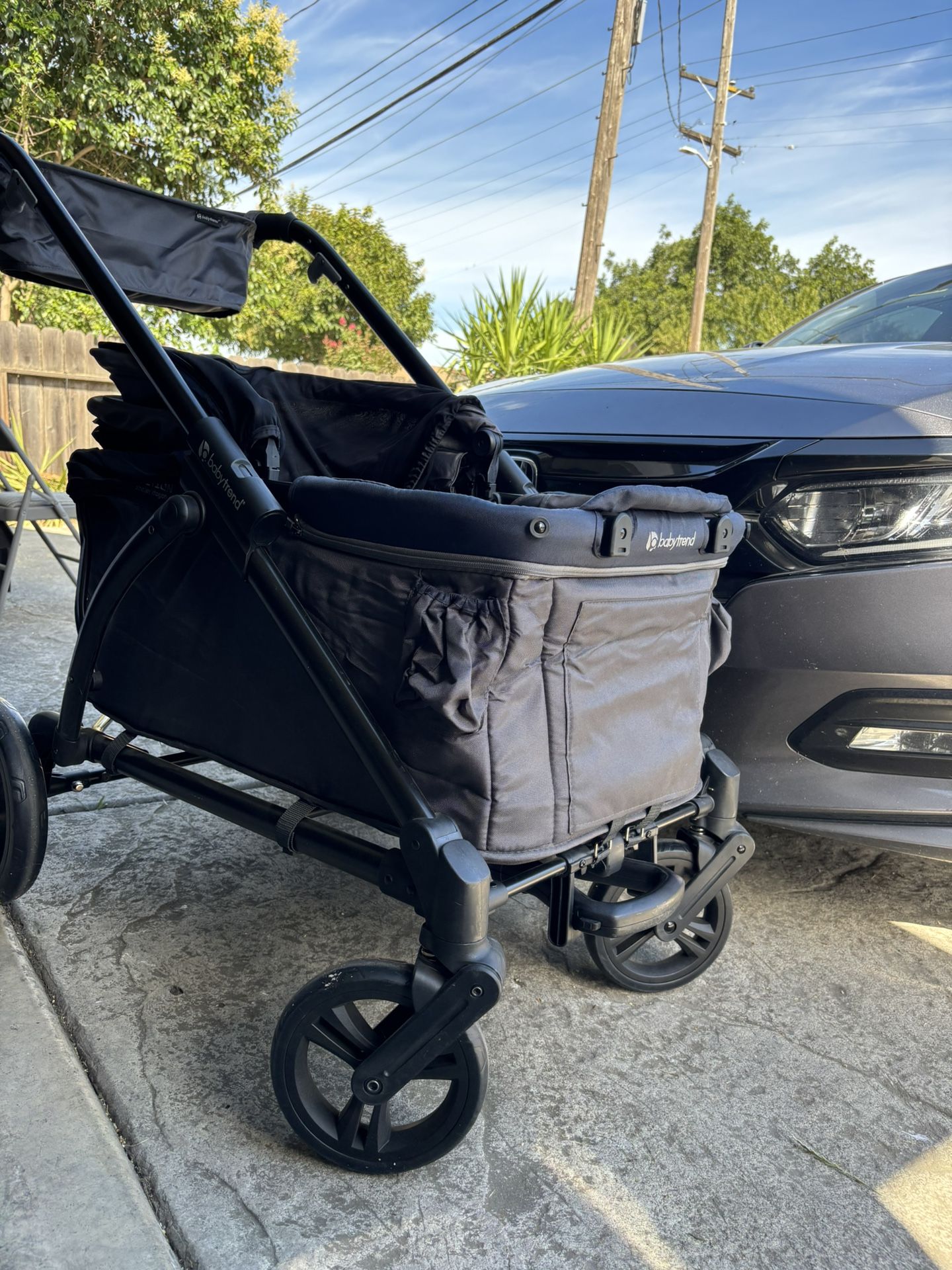 Baby Trend Expedition 2-in-1 Stroller / Wagon