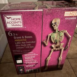 Skeleton