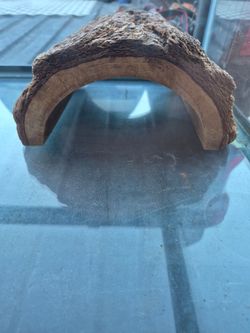 Reptile hut