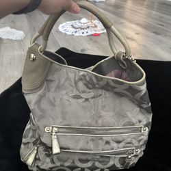 Silver Coach Purse