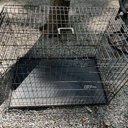 Dog Cage 