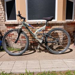 Giant Bike