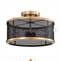 Ceiling Light (2) 