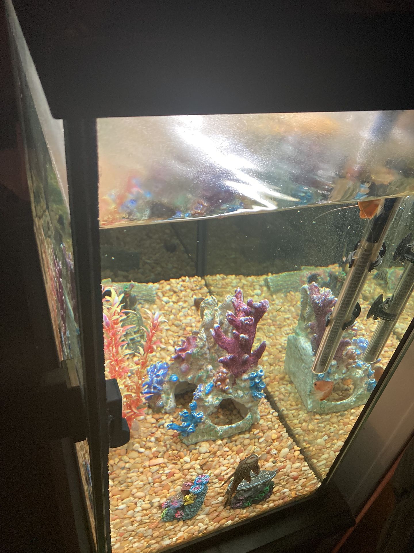 Stand-fish Tank Set Up