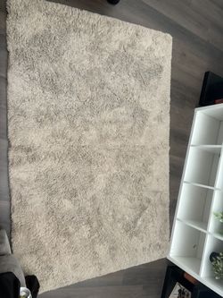 Soft Beige 4x6 Area Rug 