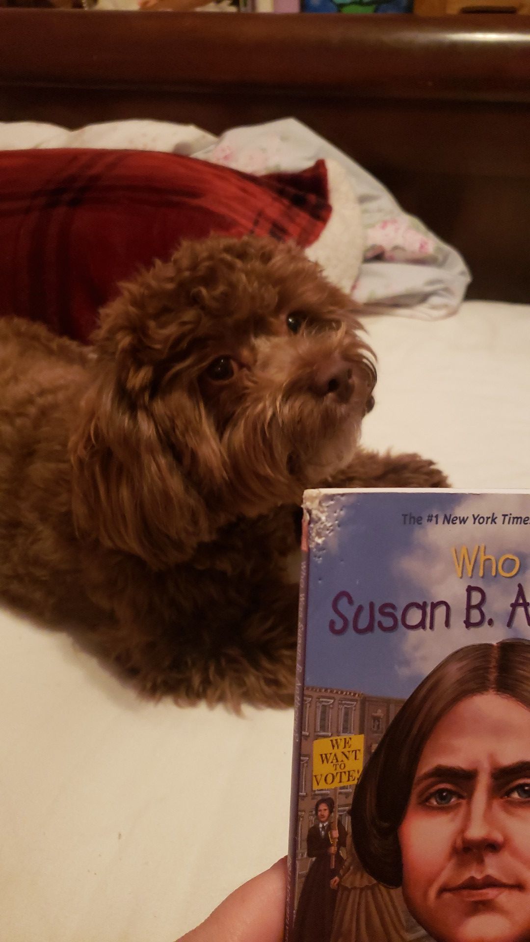 "Who was Susan B. Anthony?" Book