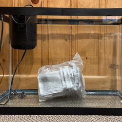 20 Gallon Tank with Filter