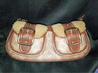 Ashton Coach Bag