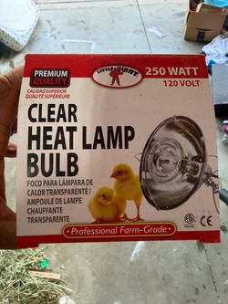 Heat lamp bulbs 8 total