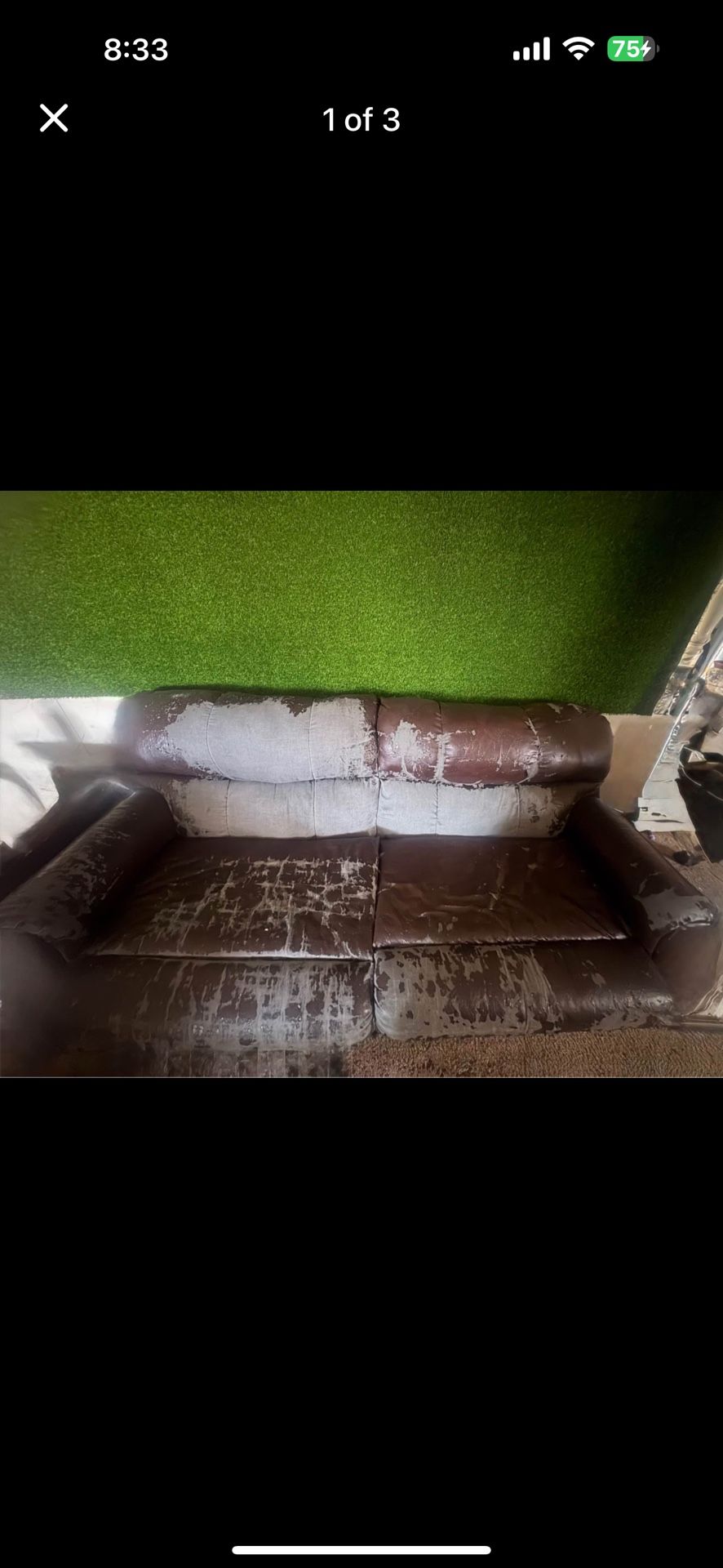 Pull Out Couch