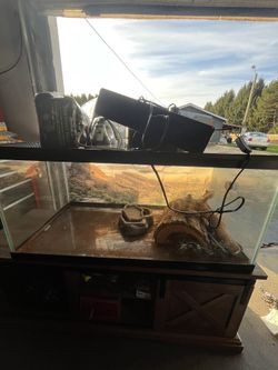 Reptile Tank