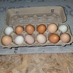 Farm Fresh Chicken Eggs