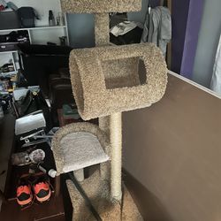 Cat Tower