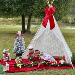 Mini Christmas Photos