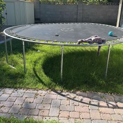 Trampoline Ripped. 