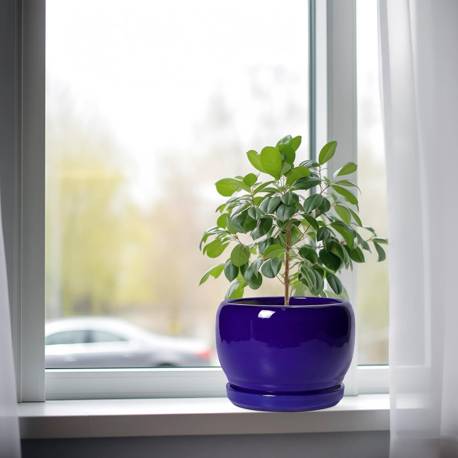 8 Inch Plant Pot Ceramic Planter
